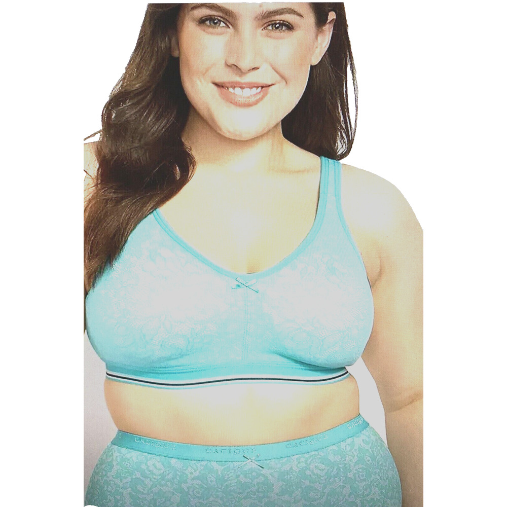 NWT Lane Bryant Aqua Blue and White High Waist Cotton Brief Panties in 18 20 1X